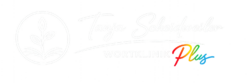 header website
