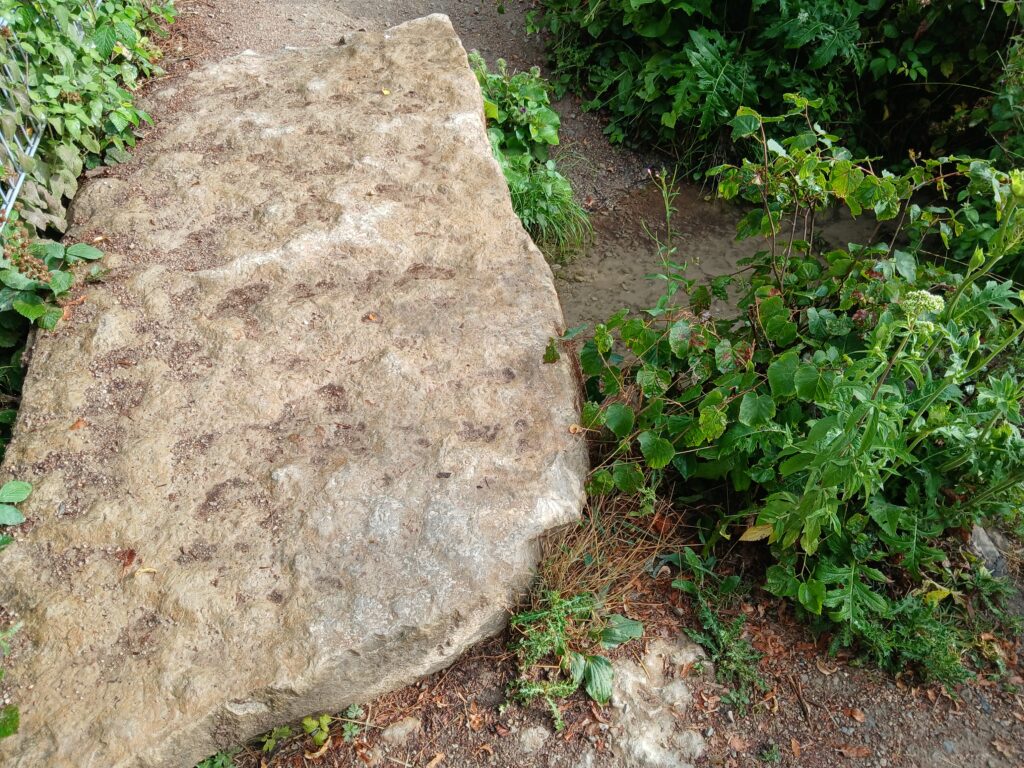 Großer Stein auf einem Waldboden