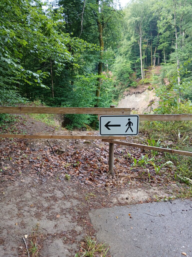 Wegweiser mit Personensymbol und Pfeil im Wald